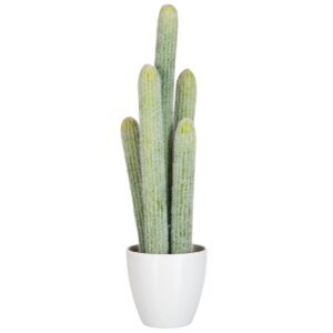 Cactus 5-delig 