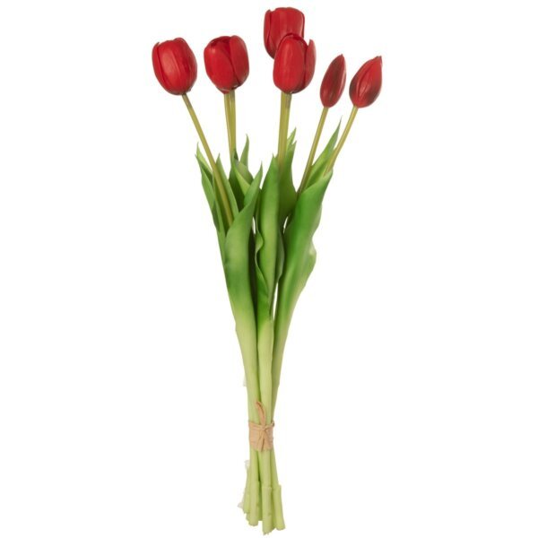 Tulpen Boeket Rood