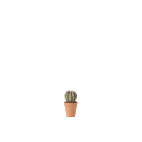 Cactus Bolvormig S